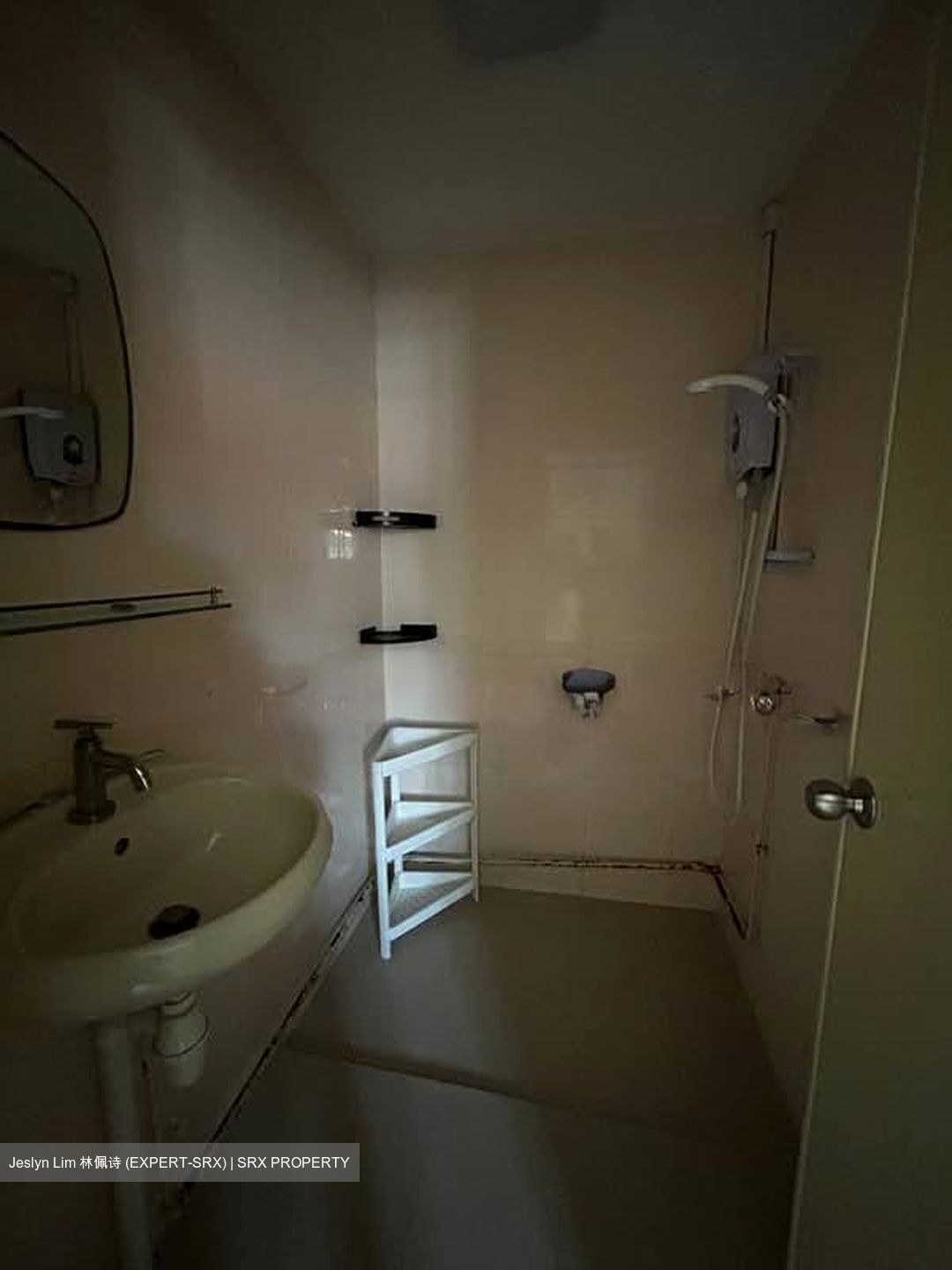 How Sun Park (Enbloc) (D19), Terrace #571391971